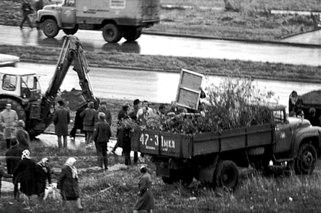 Бульдозерная выставка в москве 1974