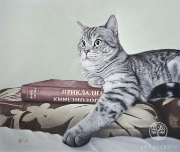 Кот кинезиолога