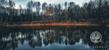 Forest lake in the autumn - 3