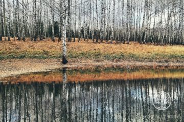Лесное озеро осенью - 2