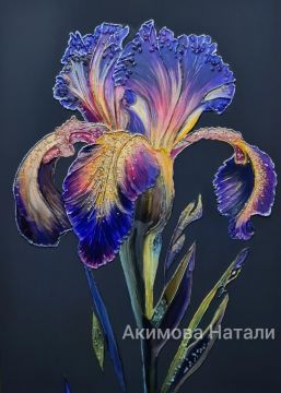 Royal iris