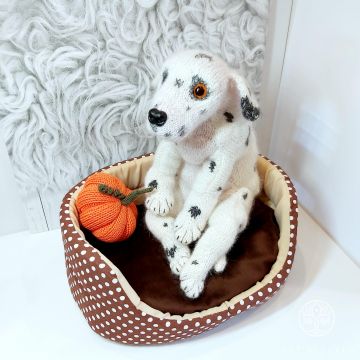 Dalmatian puppy