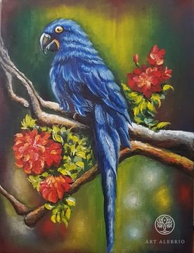 "Hyacinth parrot"