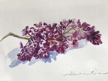 Study of Lilac