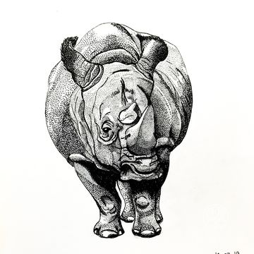 Носорог 
