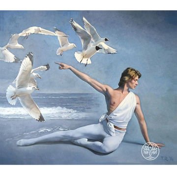 DANCING WITH SEAGULLS / APOLLO