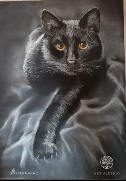 Чёрный кот 