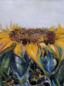 "Sunflower - Sun Salutation"