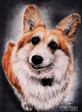 Portrait of the dog 