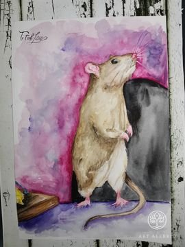 Крыса в предвкушении