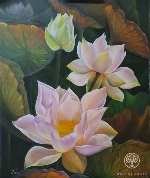 Lotuses at dawn