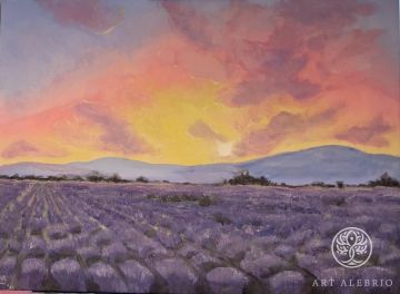 "Lavender Field" Victoria Shestakova