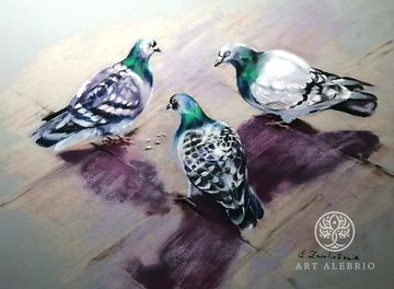 Pigeons (Elena Zamlynskaya)