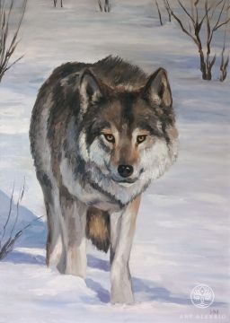 "Wolf" Nikita Mishutin