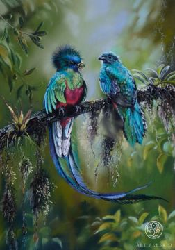 "Quetzal is a symbol of Guatemalan independence" Elena Zamlynskaya
