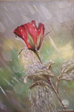 "Rose in the Rain" Natalya Belyakova