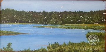 Seagulls. Lake Rod.