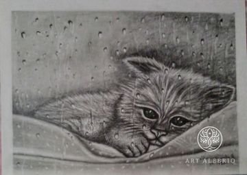 "Скучающий котик". Котик лежит на подоконнике  в теплом пледе, хочется гулять, но погода дождливая . У него темно-зеленые глаза на фото не .