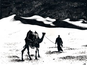 Путь в песках / Path in the Sands