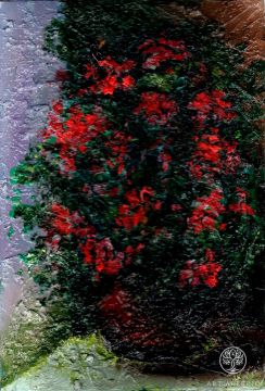 Красные цветы в горшке / Red Flowers in a Pot