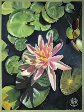 "Water lily"