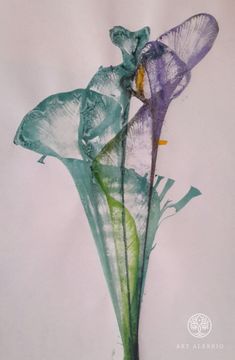 "Flower fantasies. Irises"