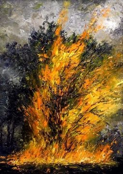 Lisova's fire