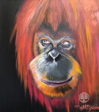Orangutan Silvio