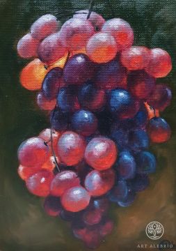  Vinograd 