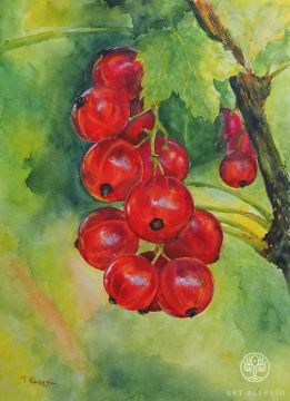 Red currant