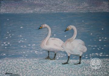 "Two swans. Spring." (oil pastel)