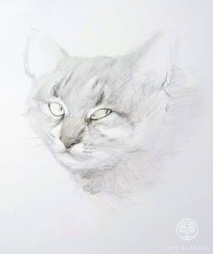 "Кошка", зарисовка