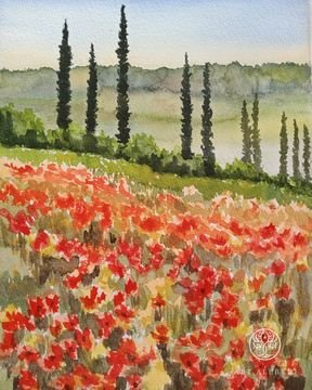 Tuscany poppies