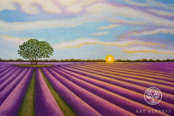 "Lavender Field"