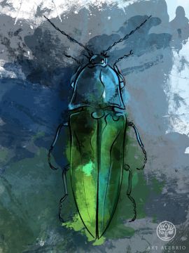 abstract bug