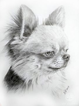 Chihuahua Pixel