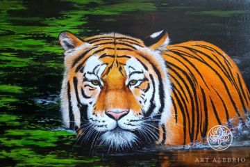 Год водяного тигра